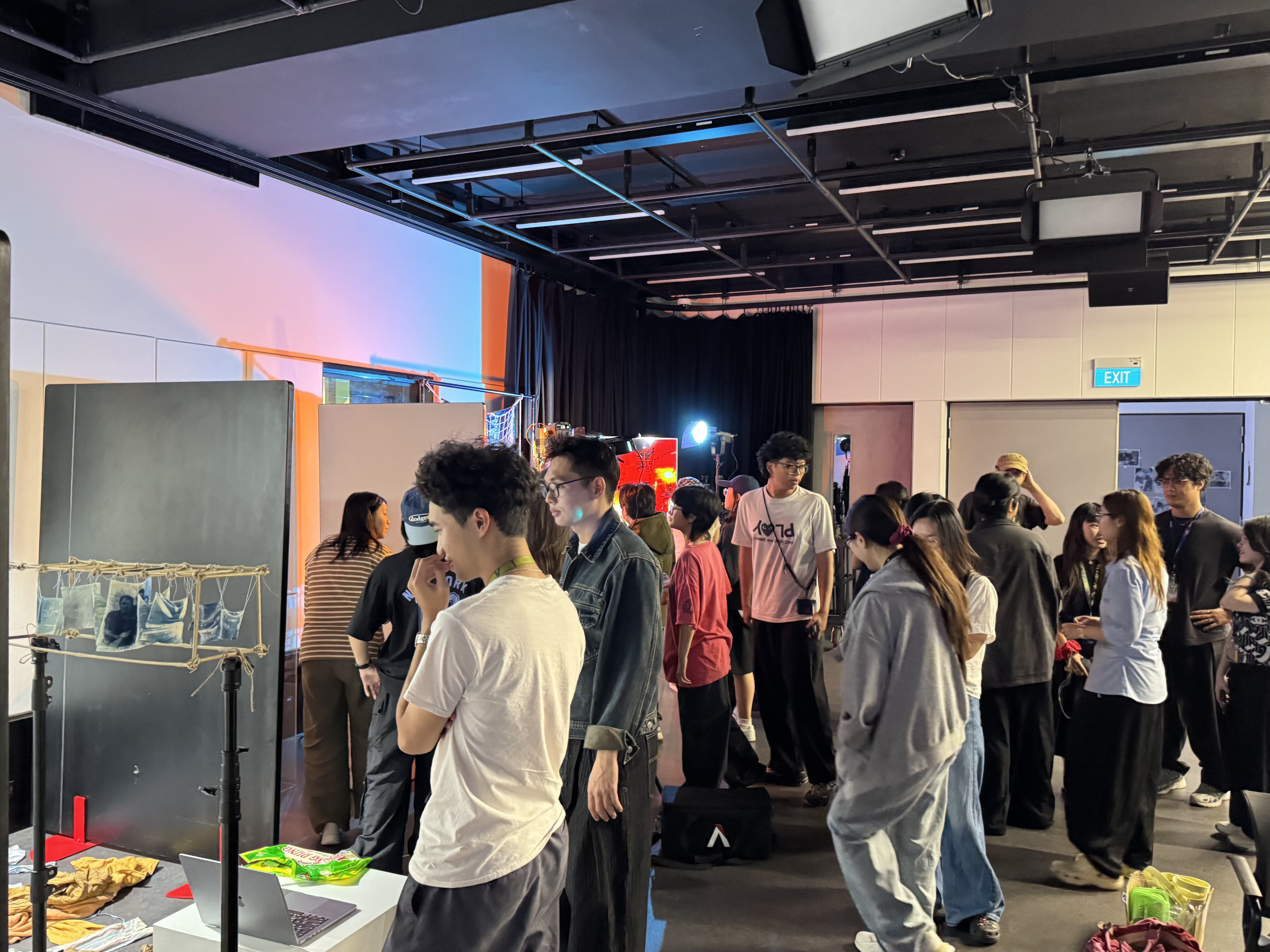 rễ-root exhibition