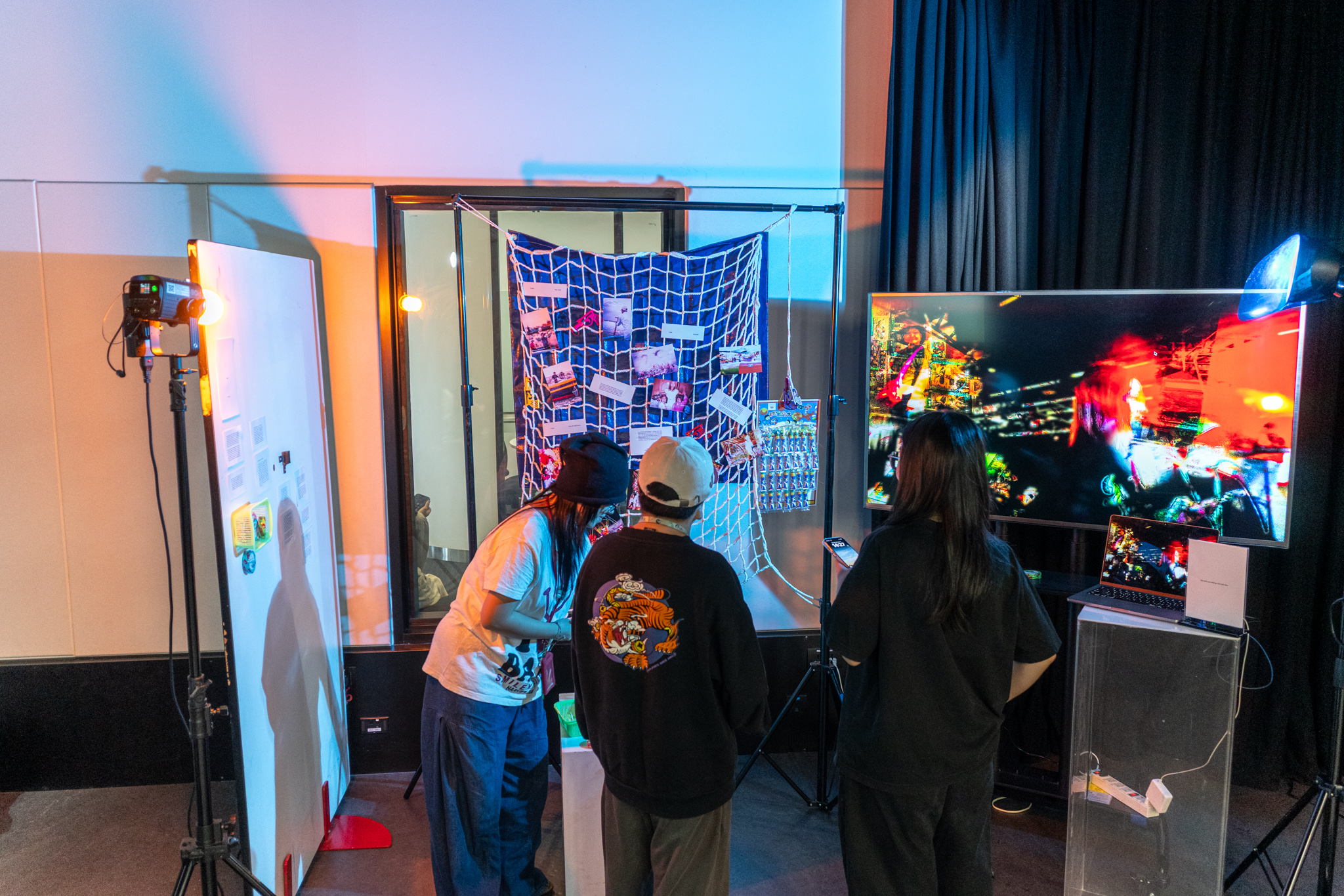 rễ-root exhibition