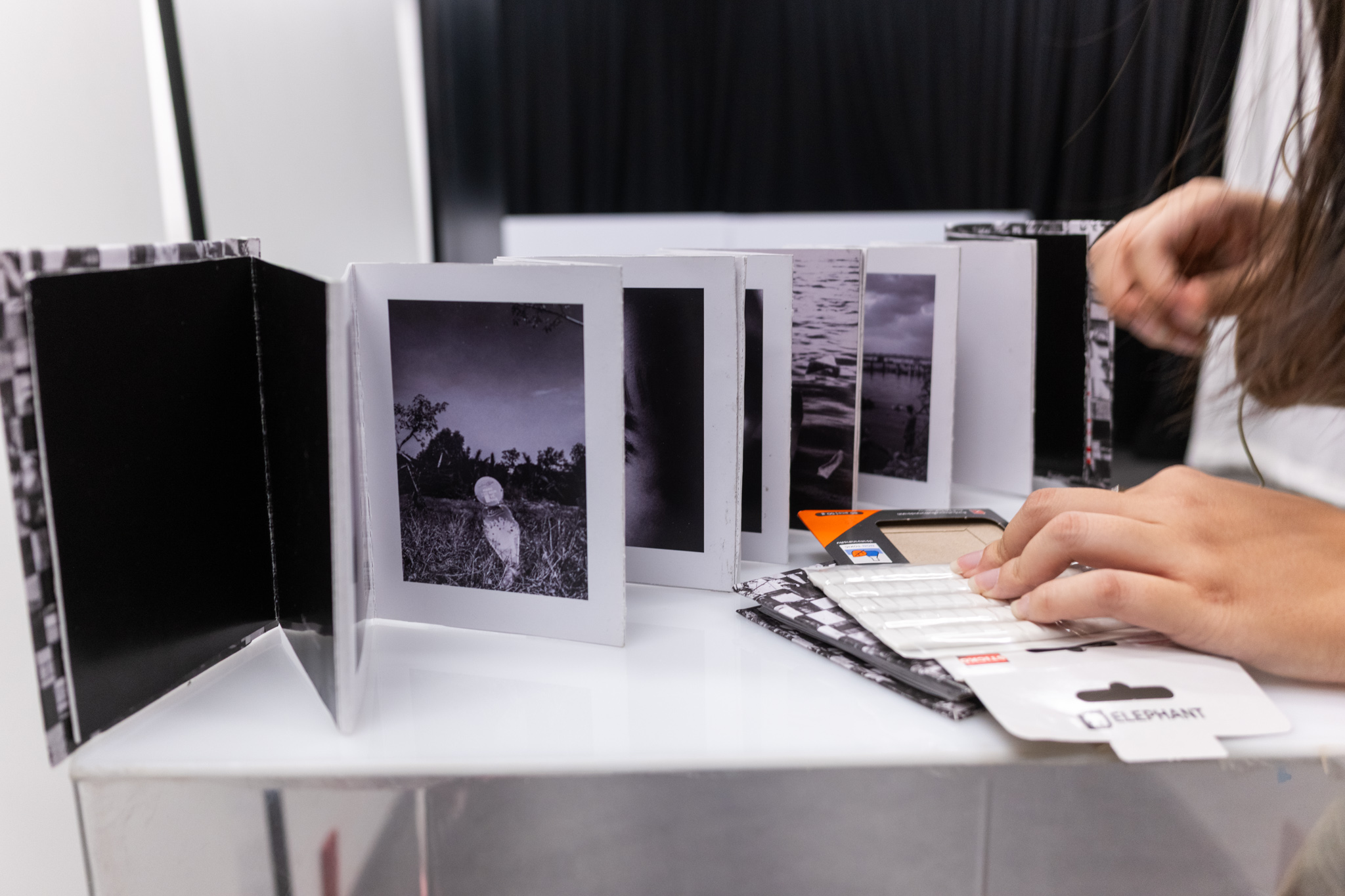 rễ-root exhibition