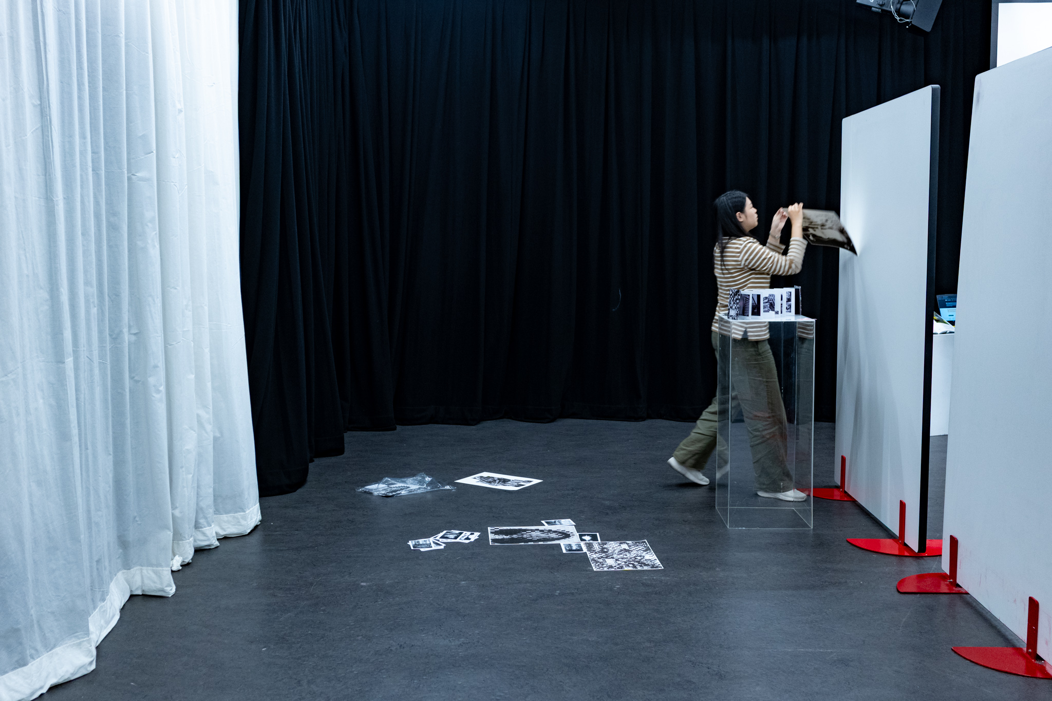 rễ-root exhibition