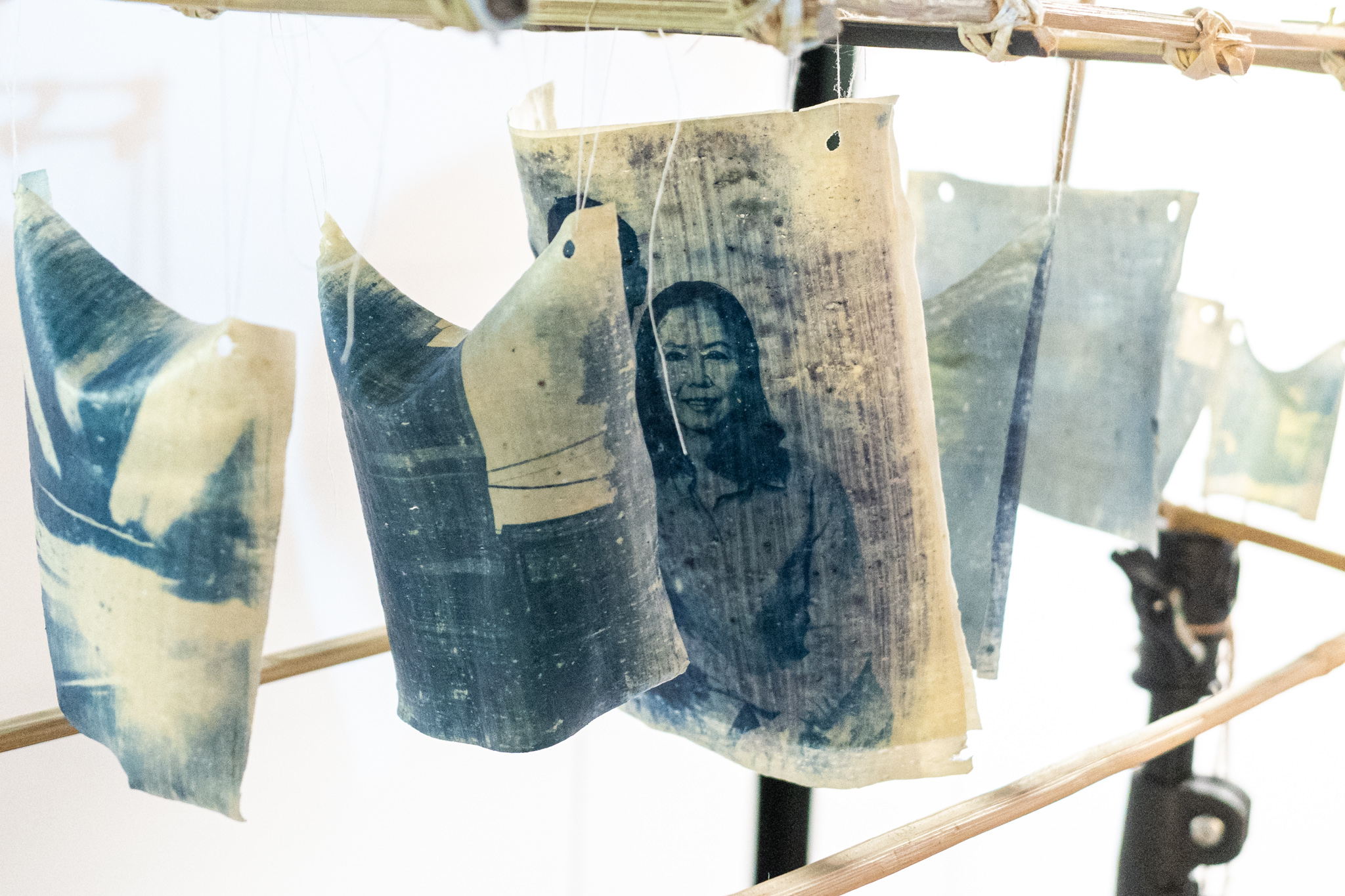 rễ-root exhibition