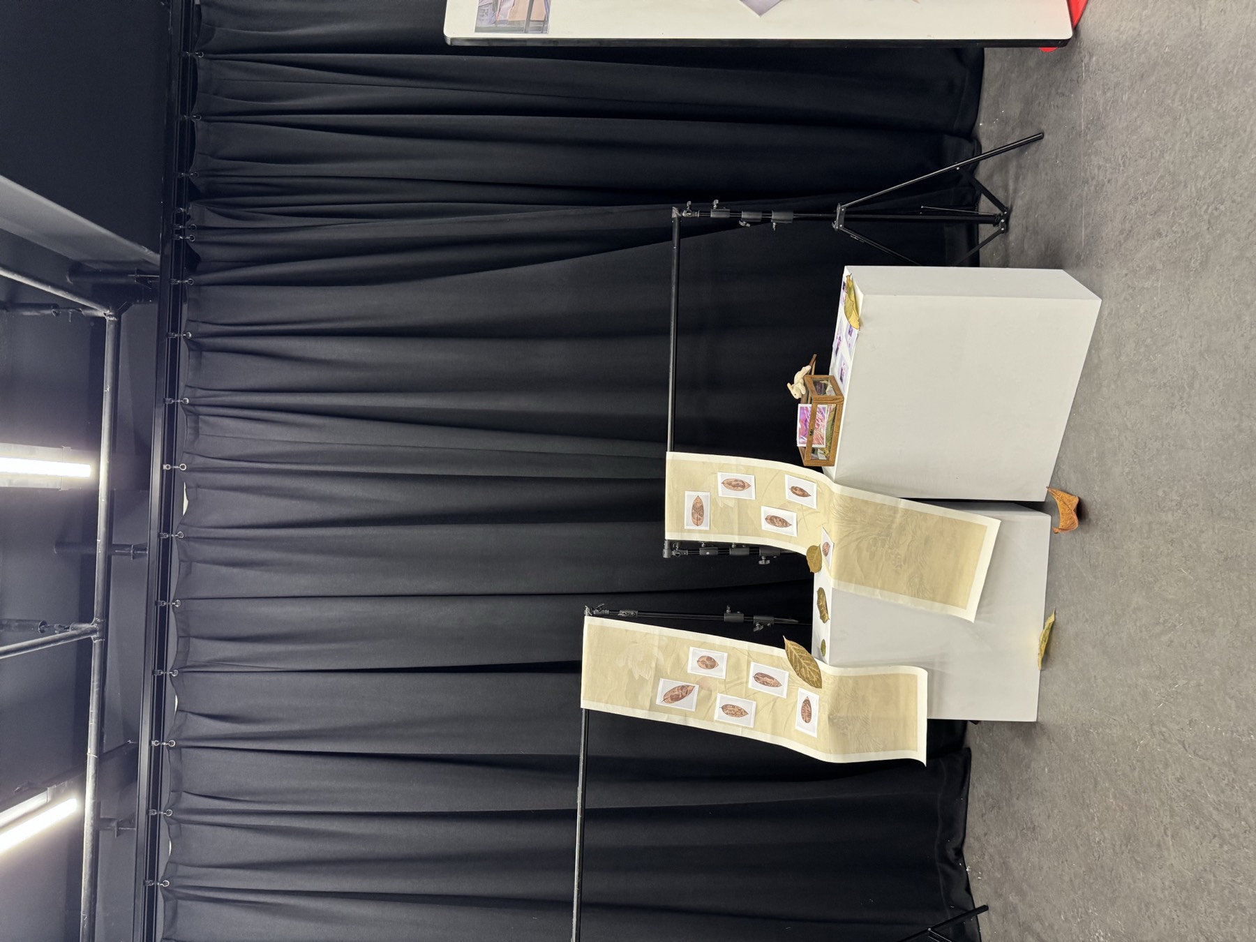 A white booth displaying cyanotype prints