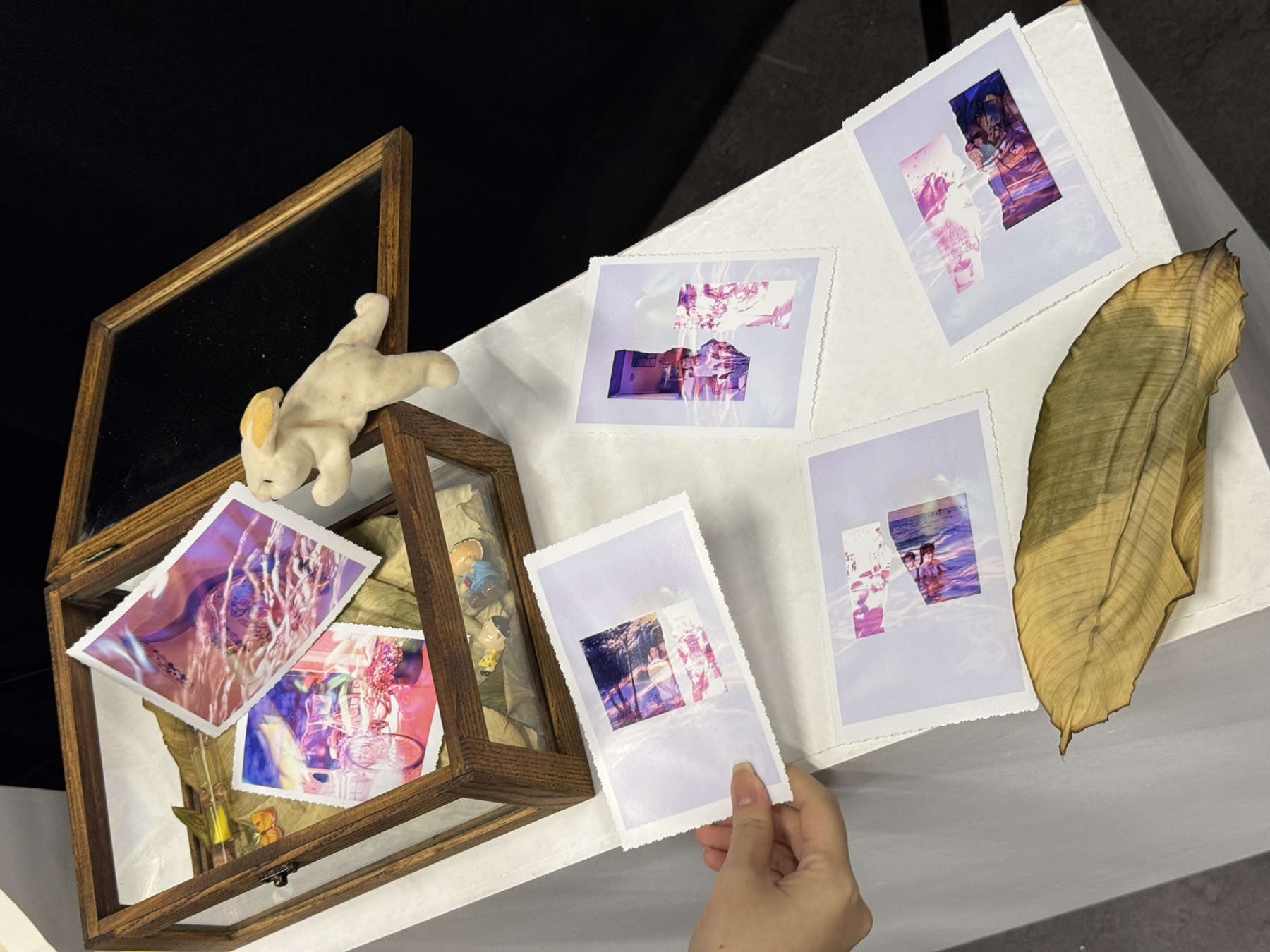 Framed works arranged with a dried leaf on a table